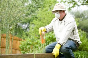 Why Homeowners Need to Rely on a Professional Wasp Exterminator